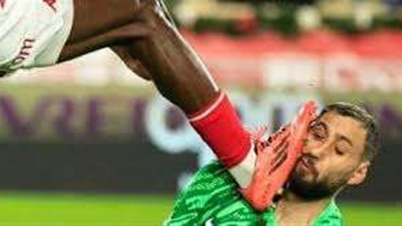 حارس المرمى جانلويجي