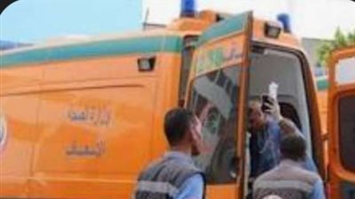 مصرع أم وأطفالها الثلاثة في حادث تصادم سيارة نقل مع تروسيكل بكفر الدوار بالبحيرة