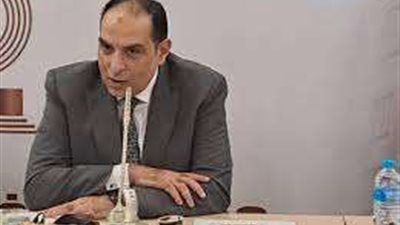 رئيس لجنة الجمارك: الترانزيت غير المباشر يجعل مصر مصدراً مهماً لتغذية الدول المحيطة