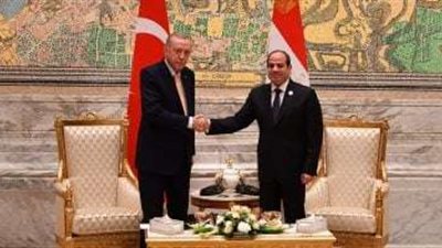 السيسي وأردوغان يؤكّدان ضرورة الحفاظ على وحدة واستقلال سوريا