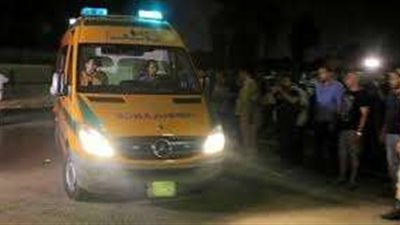 إصابة 5 أشخاص في حادث تصادم سيارتين نقل على طريق ميت غمر المنصورة