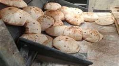 بعد ضبط 6 أطنان دقيق مهرب في حملات تموينية خلال 24 ساعة.. اعرف العقوبة