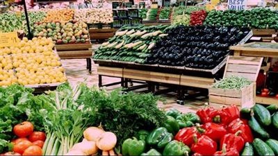 إسماعيل: استصلاح 12 مليون فدان يرفع صادرات مصر الزراعية إلى 7.5 مليون طن سنويًا