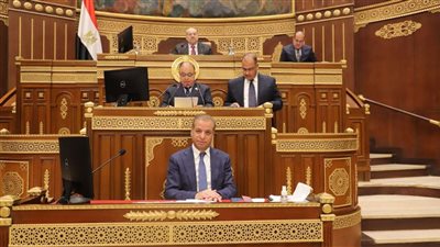 مجلس الشيوخ يواصل مناقشة قانون المسئولية الطبية.. إطار قانوني لتحقيق العدالة وحماية حقوق المرضى والأطباء