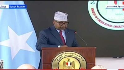 وزير الخارجية الصومالي: مصر لعبت دورًا تاريخيًا في دعم استقلال الصومال