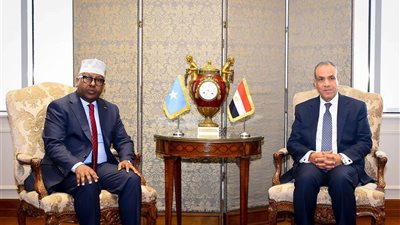 مباحثات ثنائية بين وزير الخارجية المصري ونظيره الصومالي