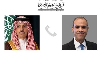 وزير الخارجية المصري يبحث مع نظيره السعودي مستجدات الأوضاع في سوريا
