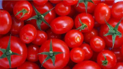 الطماطم بكام؟ أسعار الخضروات اليوم الثلاثاء 24 ديسمبر 2024