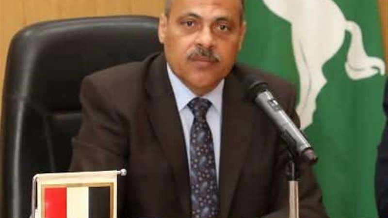 محافظ الشرقية