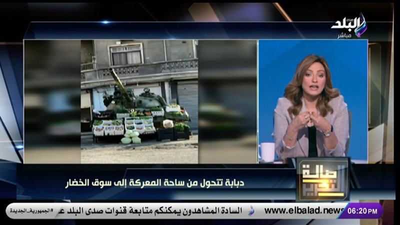 الإعلامية فاتن عبد