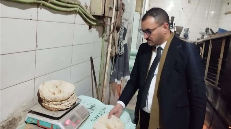 الحملة التموينية