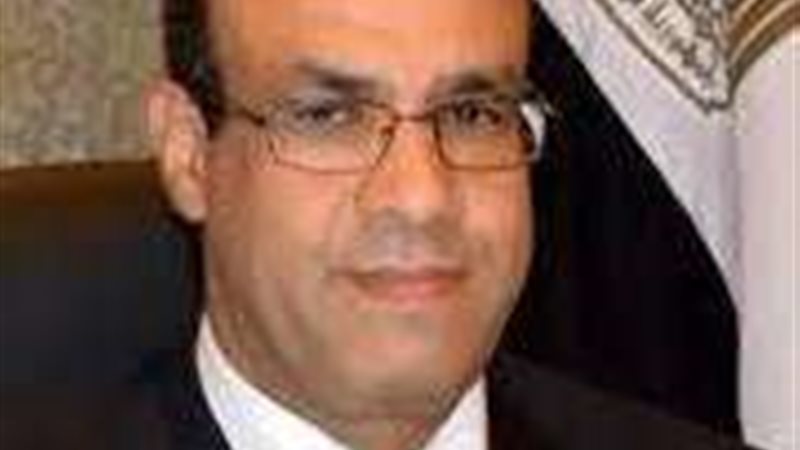 وزير الخارحية المصري