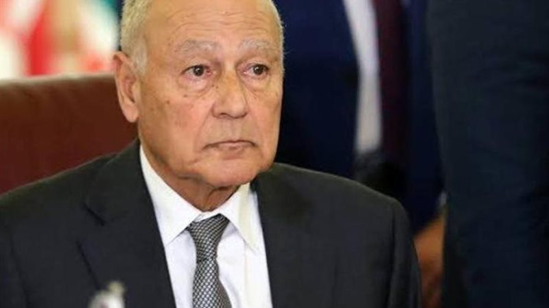 أحمد أبو الغيط، الأمين