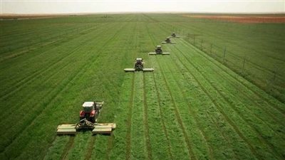 مع نهاية 2024.. تعرف على مجهودات الدولة في تحسين ملف الزرعة