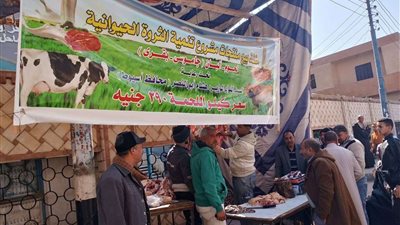 اللحمة بـ290 جنيها.. إنتاج مشروعات الثروة الحيوانية بأسيوط تواجه غلاء الأسعار