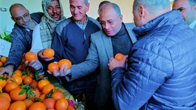 وكيل زراعة البحيرة يفتتح منفذ لبيع الخضار والفواكه بأبو حمص