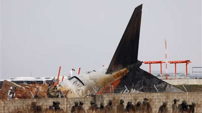 ضربة الطيور ليست السبب الوحيد وراء تحطم الطائرة الكورية الجنوبية