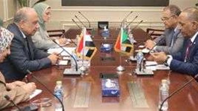 تعزيز التعاون بين مصر والسودان في الكهرباء والطاقة المتجددة