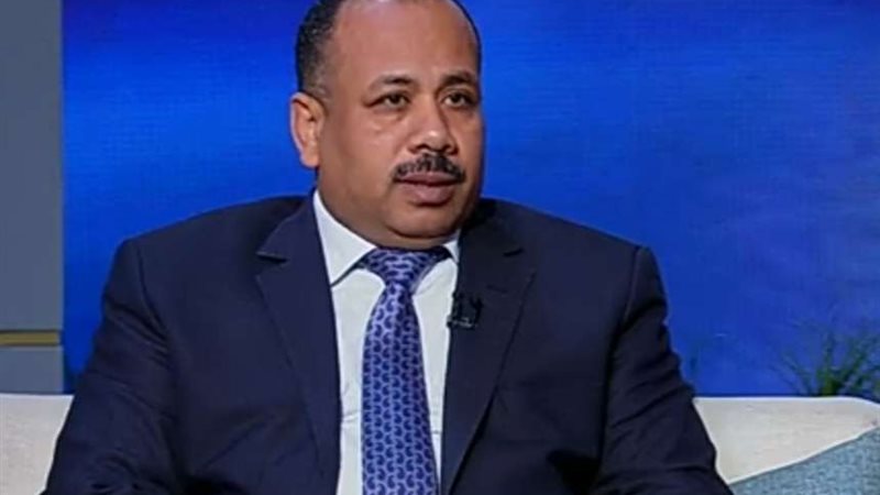 ياسر الحميري، وكيل