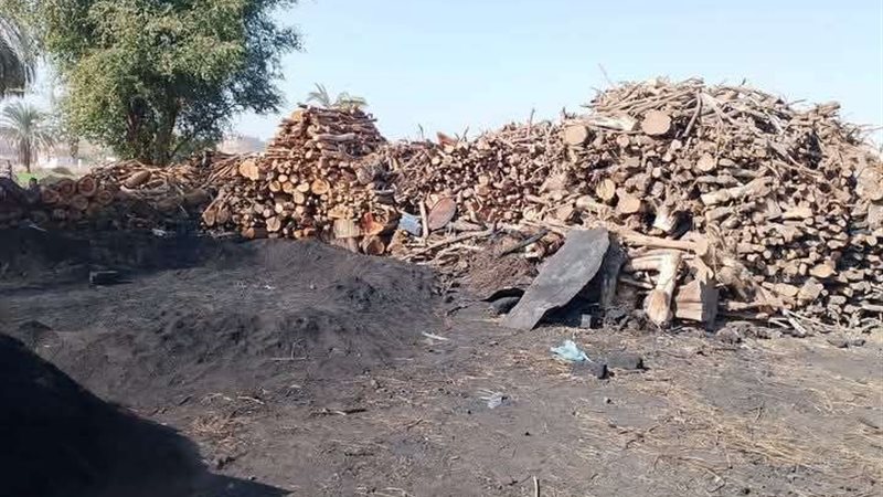 مكامير الفحم بأسيوط