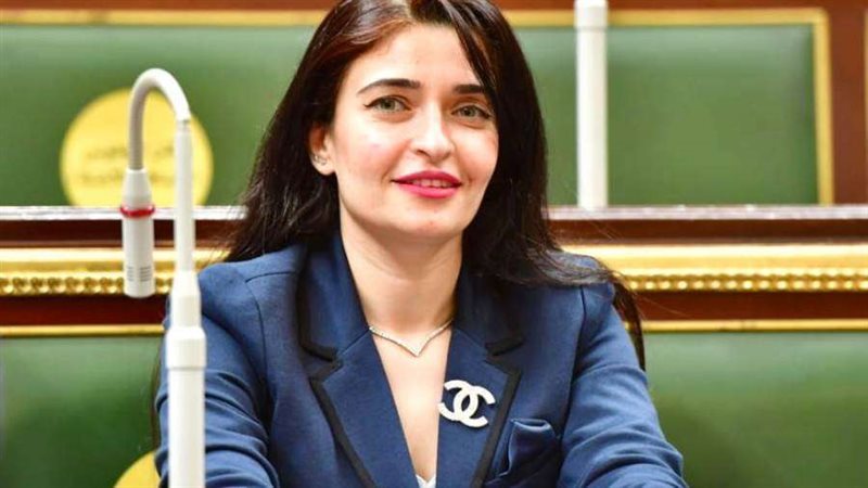 النائبة ايرين سعيد