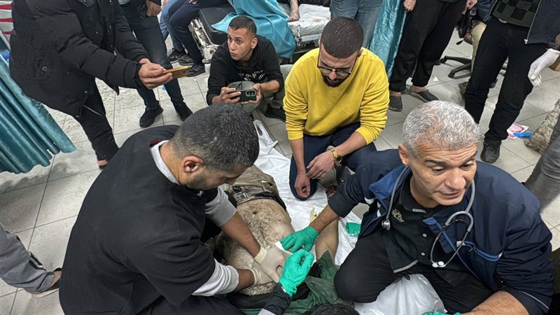 المرضى في مستشفي