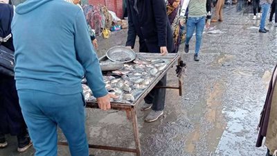 إزالة 516 إشغال طريق ثابت ومتحرك بمركزى دمنهور و الدلنجات