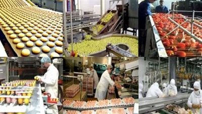 قفزة تاريخية في صادرات الأغذية.. 5.5 مليار دولار خلال 11 شهرًا