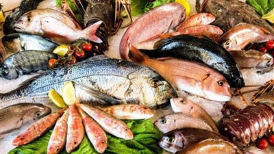 استقرار أسعار الأسماك بسوق العبور اليوم تزامنًا مع أعياد الميلاد