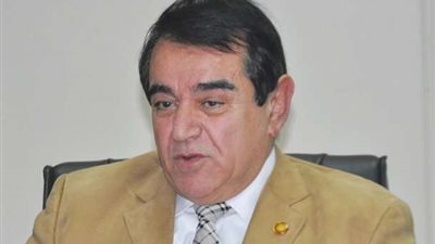 مسروجة: توطين صناعة مكونات السيارات الكهربائية أفضل من العاملة بالوقود