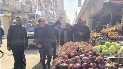 حملة مكبرة لإزالة اشغالات الطريق بكفر الدوار