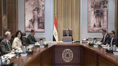 الحكومة تتابع طرح شركتي 