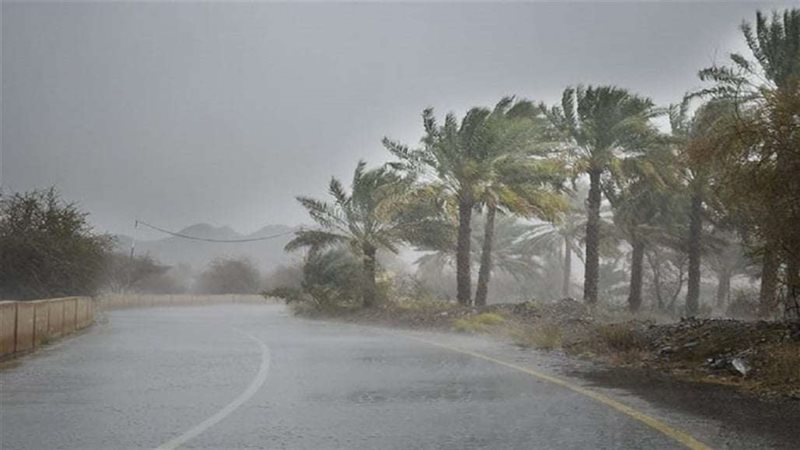 صورة أرشيفية.. لحالة