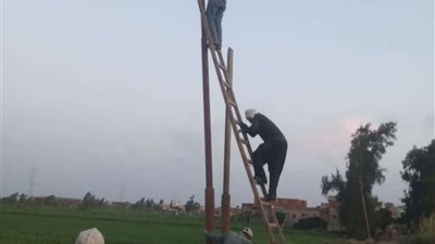 استجابة فورية لشكاوى المواطنين لسقوط 4 اعمدة كهرباء على الطريق بالرحمانية