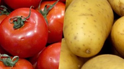خاص| توقعات بارتفاع أسعار الطماطم والبطاطس في مصر.. أسباب ودعوات للتخزين الآمن