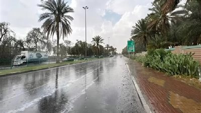 درجات الحرارة اليوم السبت 11 يناير 2025