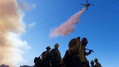 حرائق كاليفورنيا: 16 قتيلًا والنيران تُهدّد حرم جامعة لوس أنجلوس.. وسط تحذيرات من اشتداد الرياح