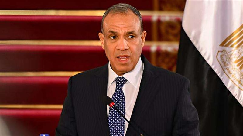 وزير الخارجية المصري