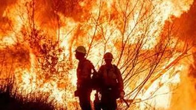 خبير سياسي:  حرائق كاليفورنيا تكشف أولويات ترامب البيئية والسياسات  