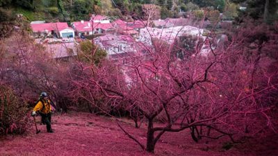 حرائق لوس أنجلوس تتفاقم: تحذيرات من 