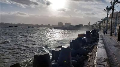 تحذير من طقس متقلب وشبورة كثيفة تصل لحد الضباب في الإسكندرية اليوم الأربعاء 15 يناير 2025