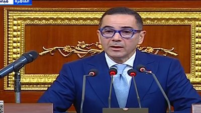 وزير الاستثمار لوفد ألماني : مصر توفّر فرصًا كبيرة للشركات العالمية