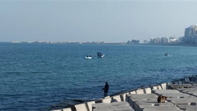 توقعات درجات الحرارة اليوم الخميس 15 يناير 2025 في الإسكندرية