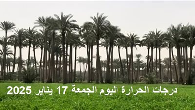 درجات الحرارة اليوم الجمعة 17 يناير 2025 .. تباين حراري بين النهار والليل