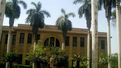 رئيس الإرشاد الزراعي يكشف حقيقة قطع أشجار المتحف الزراعي