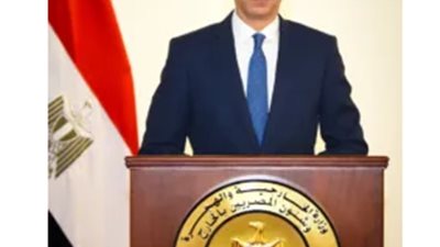 متحدث الخارجية يكشف تفاصيل محددات الموقف المصري من التطورات في سوريا