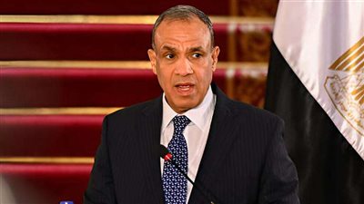 وزير الخارجية: مصر هي الدولة الوحيدة التي يُرحب بها في كل الأزمات الإقليمية