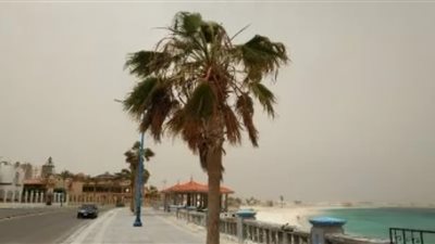 حالة الطقس اليوم الاثنين 13 يناير 2025 في مصر .. رياح مثيرة وشبورة كثيفة