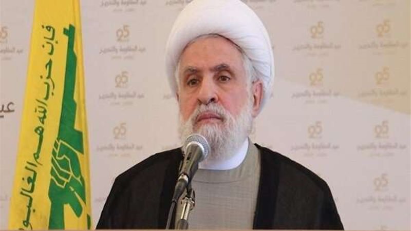 نعيم قاسم