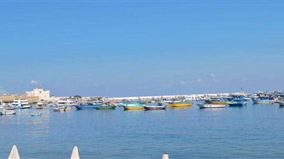 حالة الطقس في الإسكندرية اليوم الاثنين 20 يناير 2025